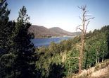 Dixie National Forest - Panguitch Lake