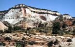 Zion National Park - White Cliffs