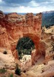Bryce Canyon - Natural Bridge