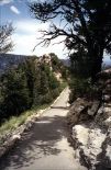 North Rim Grand Canyon - Bright Angel Pt