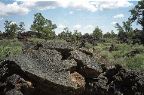 Craters of the Moon - Devils Orchard