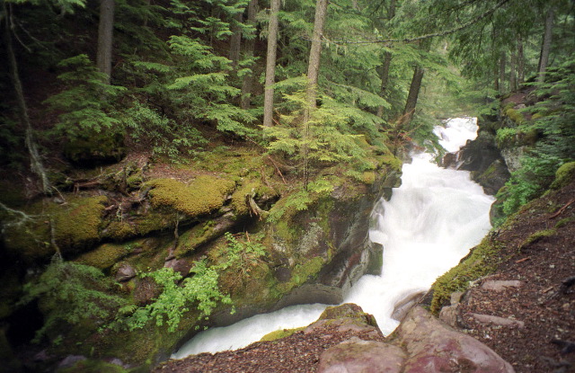 Glacier National Park - Avalanche Creek