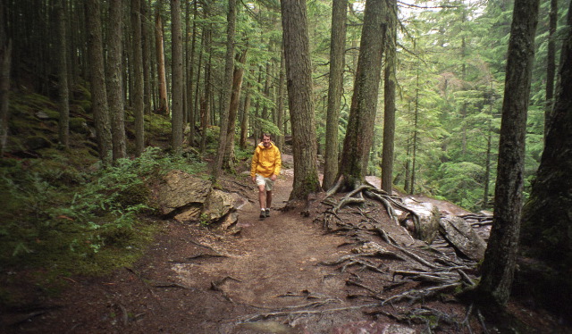 Glacier National Park - Hiking To Avalanche Lake