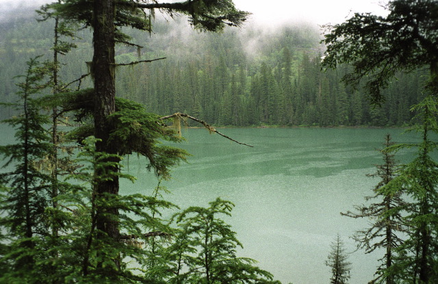 Glacier National Park - Turquoise Water