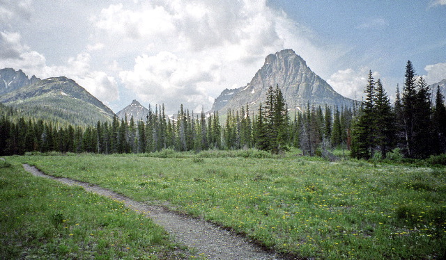 Glacier National Park - Two Medicine Meadow