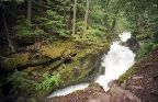 Glacier National Park - Avalanche Creek
