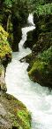 Glacier National Park - Avalanche Gorge