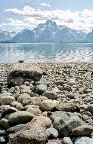 Grand Tetons National Park - Jackso nLake Shoreline