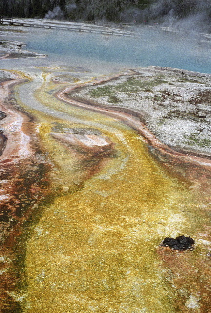 Yellowstone National Park - Biscuit Basin