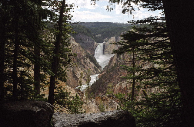 Yellowstone National Park - Canyon Lower Falls