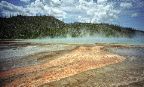 Yellowstone National Park - Grand Prismatic Spring