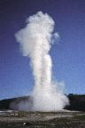 Yellowstone National Park - Old Faithful