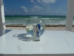 P1020647