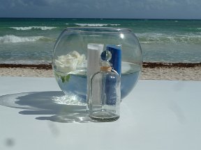 P1020648