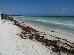 P1020661