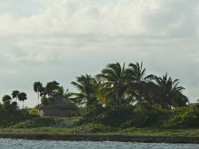 P1020891