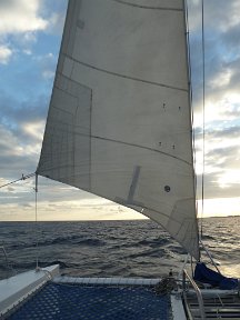 P1020904