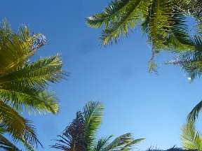 P1020912