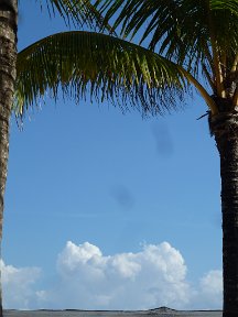 P1020924