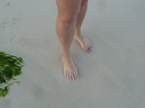 P1020980