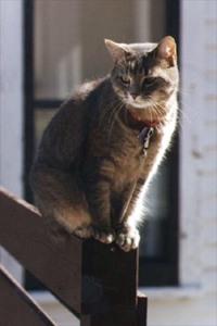 [photo]