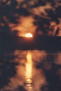 [photo]