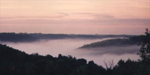 [photo]