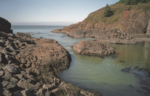Tide Pools
