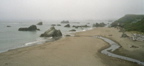 Harris Beach State Park