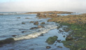 Tide Pools