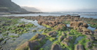 Tide Pools
