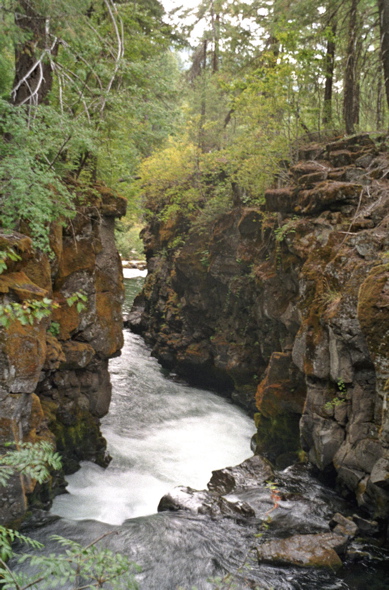 Rogue River Lava Tube