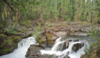 Rogue River