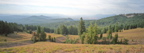 Grayback Ridge
