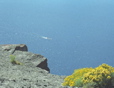 Boat on Lake