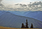 Olympic National Park Photos