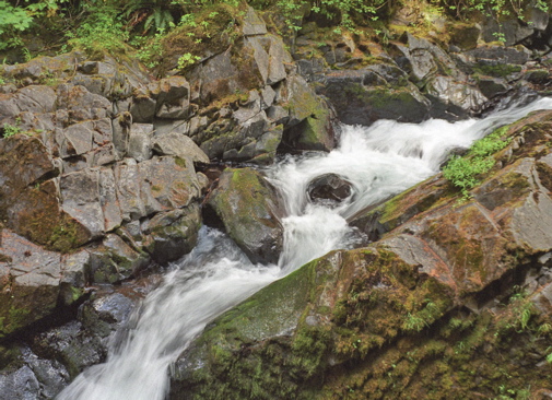 Hoh River