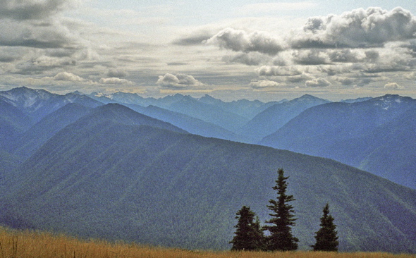 Huricane Ridge