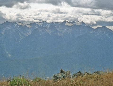 Olympic Mountains