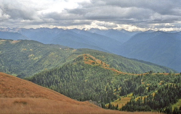 Huricane Ridge