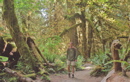 Hoh Rain Forest
