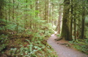 Sol Duc Trail