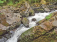 Hoh River