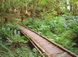 Hiking Trail