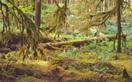 Ancient Groves Nature Trail