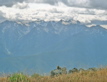 Olympic Mountains