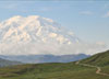 Denali National Park & Preserve Photos