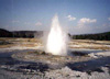 Yellowstone National Park Photos
