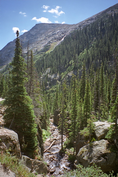 Rocky Mountain National Park Chaplin Creek Photo