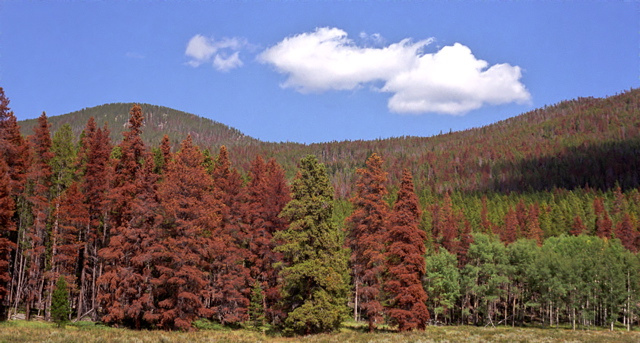 Rocky Mountain National Park Kawunkkche Valley Photo